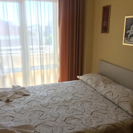 호텔 Family Selena 네세부르